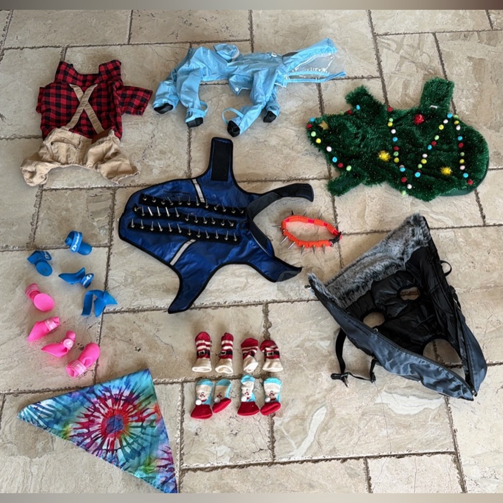 Colorful Pet Costumes Collection Small Dog